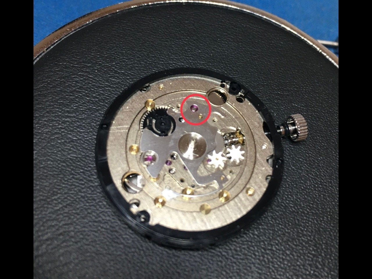 Where are the extra jewels in newer Seiko movements ? | WatchUSeek Watch  Forums