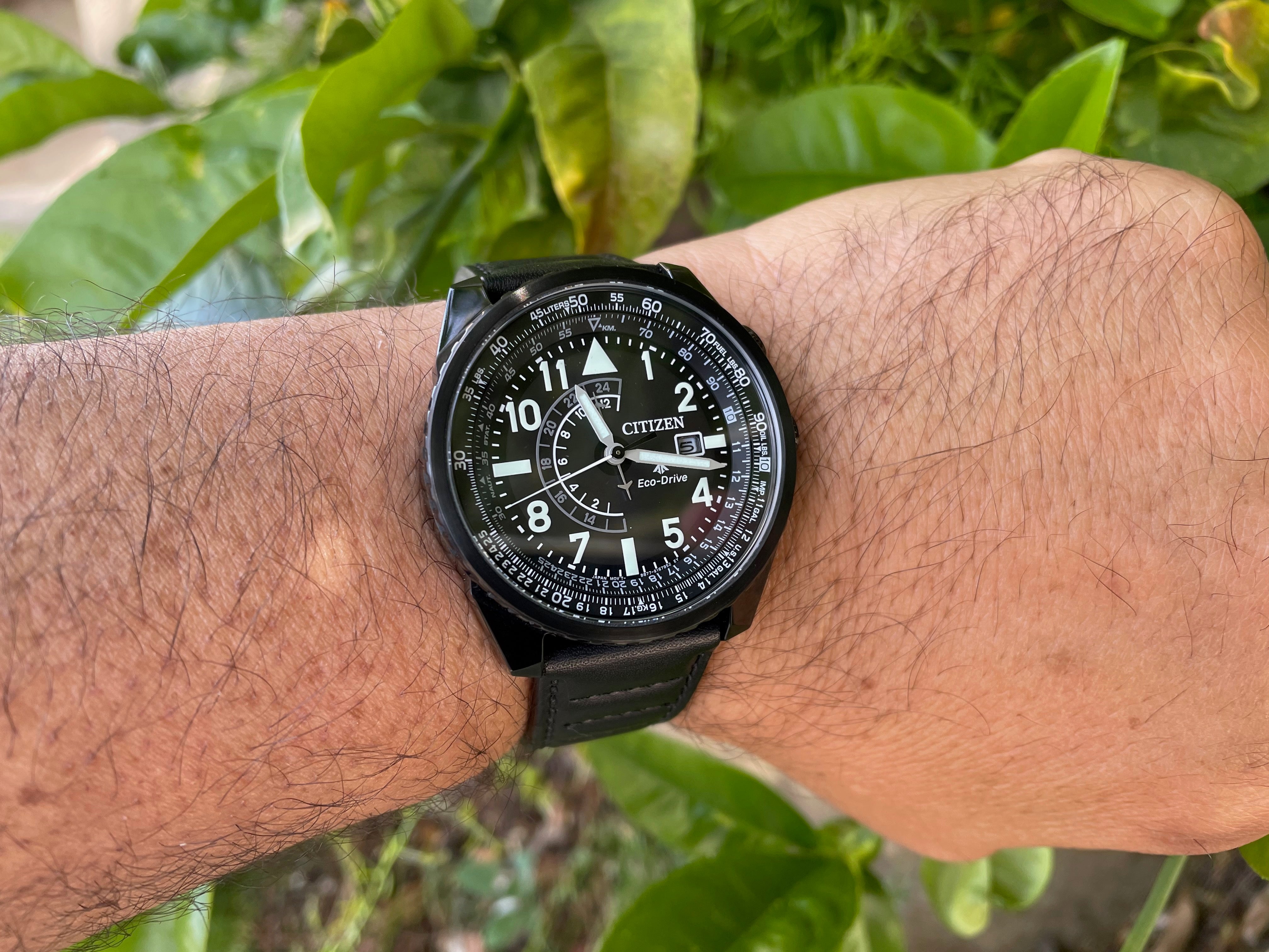 Citizen Promaster Nighthawk 2020 Release BJ7135-02E Review (My