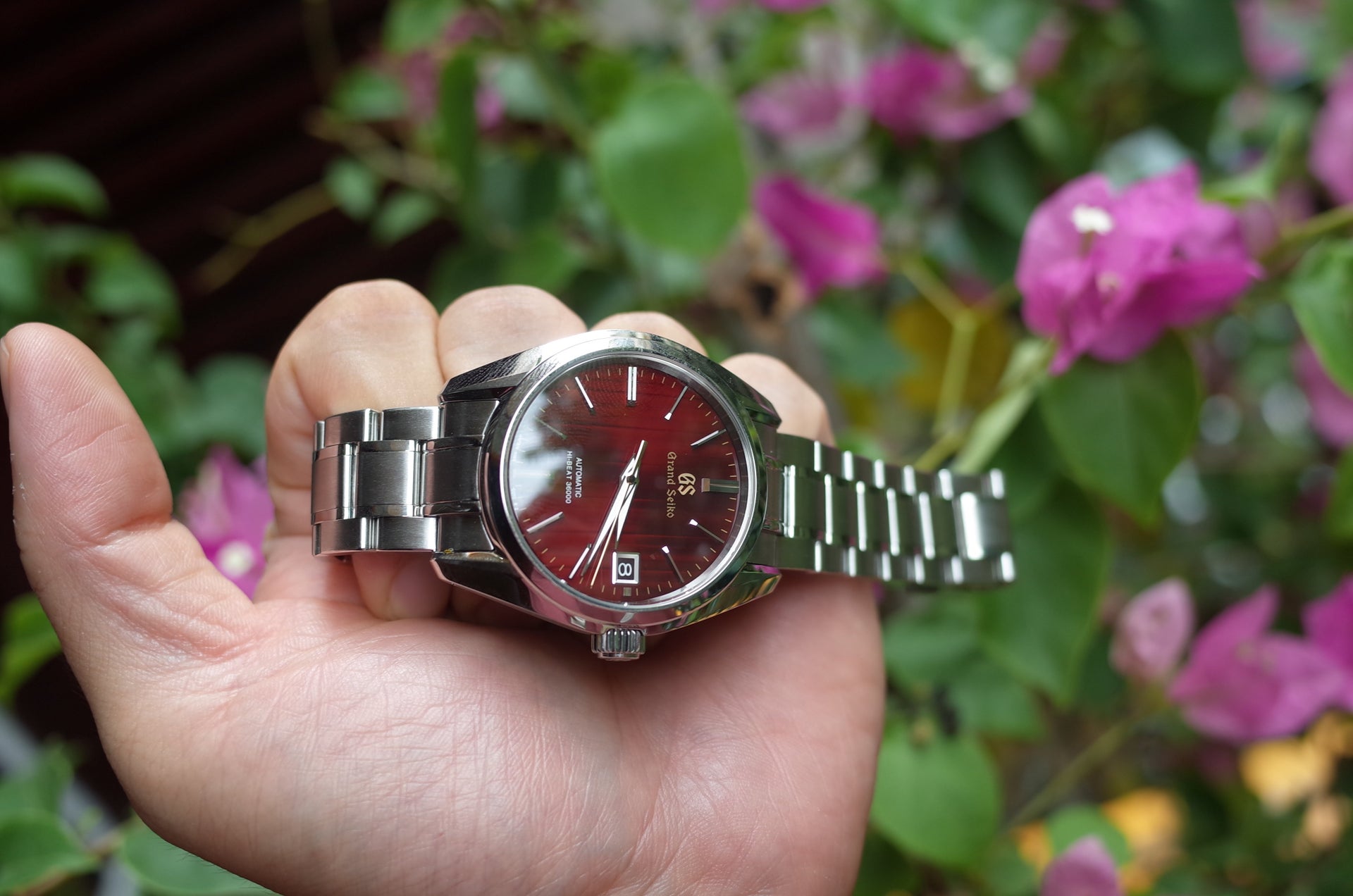 For Sale: Beautiful Grand Seiko SBGH269 - Red dial - Fullset | WatchUSeek  Watch Forums