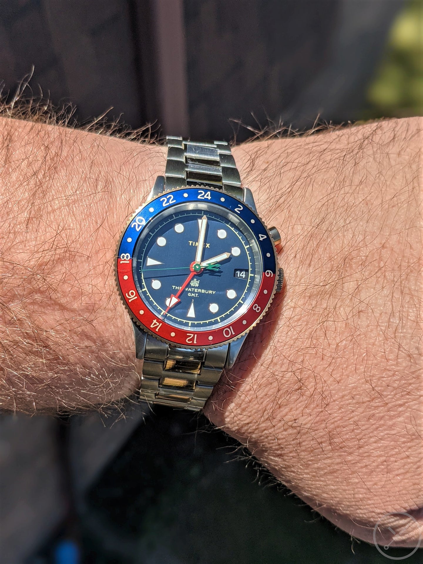 Timex Waterbury 39mm GMT | Page 3 | WatchUSeek Watch Forums